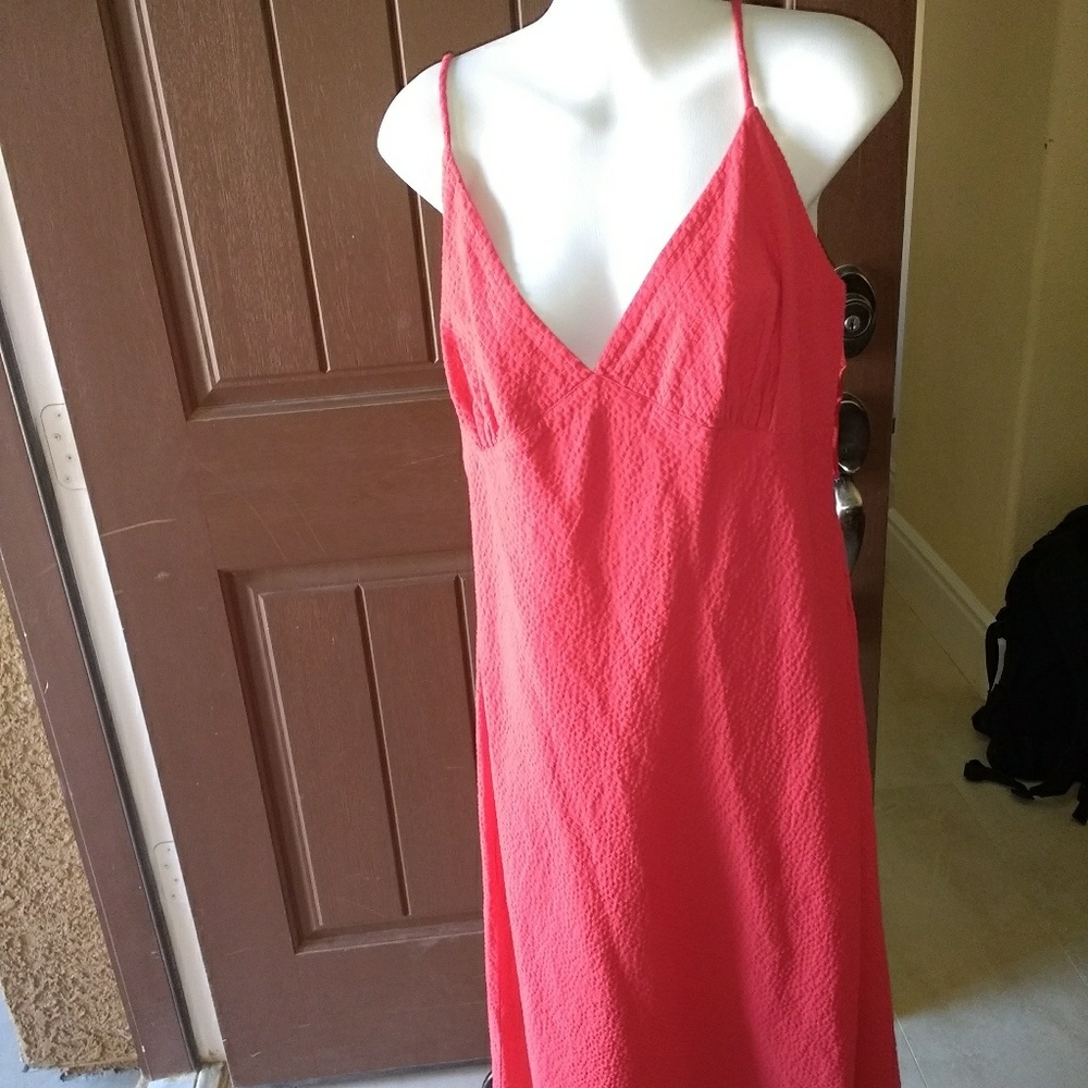 NWT Parallel dress